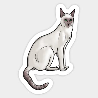 Siamese Cat on Teal Sticker